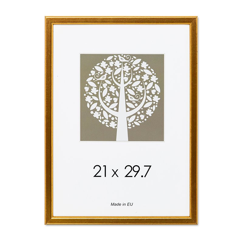 Nuotraukų rėmelis, plastikinis, A4, 21x29,7 cm,  aukso sp.